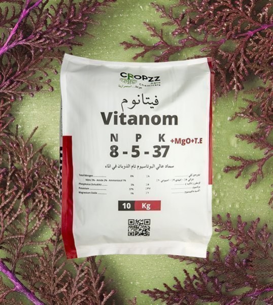 تم تصميم فيتانوم 8-5-37 بتركيز عالٍ من البوتاسيوم لدعم مراحل الإزهار والعقد والتحجيم، مما يضمن زيادة نسبة المواد الصلبة وتحسين الطعم واللون في المحاصيل. يساعد على تعزيز تحمل النباتات للإجهاد وتحقيق إنتاج وفير بجودة ممتازة.