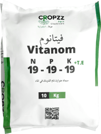 فيتانوم ١٩-١٩-١٩