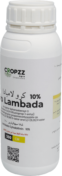 كرو لمبادا ١٠%